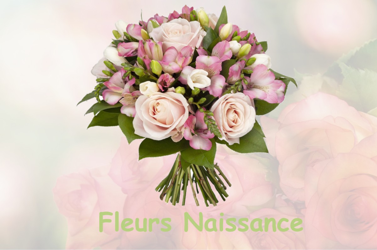 fleurs naissance MAZERES-SUR-SALAT