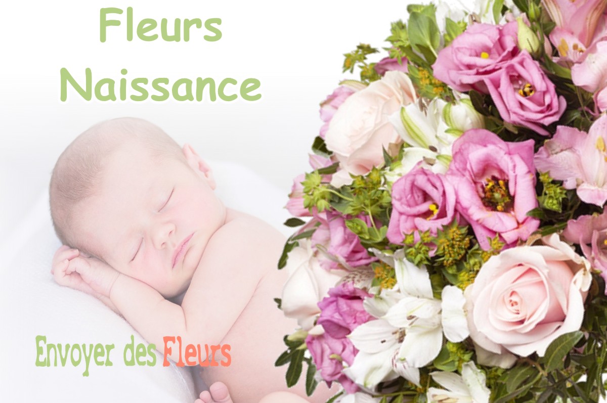 lIVRAISON FLEURS NAISSANCE à MAZERES-SUR-SALAT