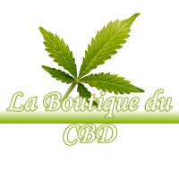 LA BOUTIQUE DU CBD MAZERES-SUR-SALAT 